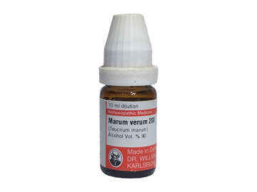 Picture of Marum Verum 200 10ml Pot